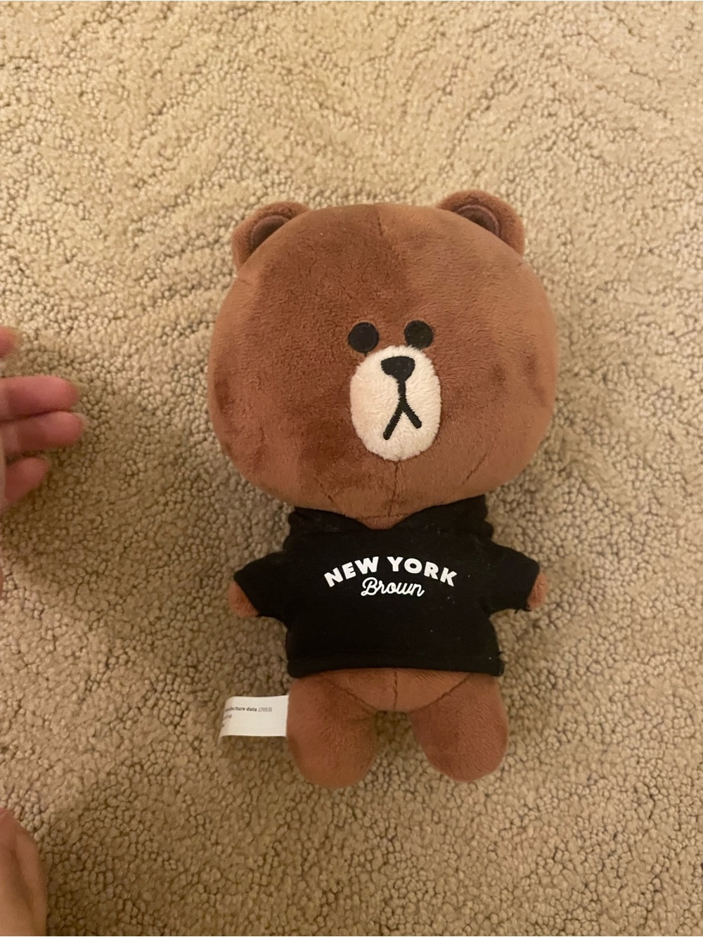 FRIENDS Brown Plush Bear in Black 'New York Brown' Hoodie